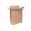 Flaschenversandkarton 3er mit PTZ-Zulassung DHL und UPS