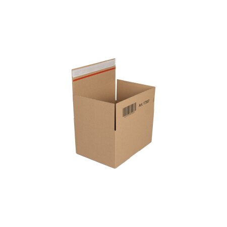 BB-Automatikbodenkarton 250 x 180 x 140 mm