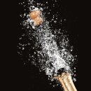 Faltschachtel "Cest la vie" 1er mit Tragegriff, 330mm