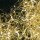 Engelshaar Gold, 200g in Spenderbox, Metalldraht