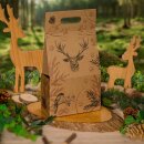 Tragekarton "Allround Winterzeit" Natura, Kraftpapier