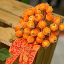 Beeren am Draht "Frost" Orange, 120x12mm, Bund mit 40 Stück