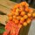 Beeren am Draht "Frost" Orange, 120x12mm, Bund mit 40 Stück