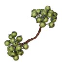 Beeren am Draht "Frost" Grün, 120x12mm,...
