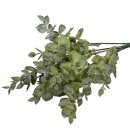 Eukalyptus-Pick, Kunststoff, grün