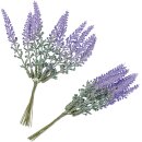 Lavendel-Pick, Kunststoff, Bund mit 10 Stück