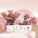 Geschenkband "Chiffon" Rosa, 50mm x 20m