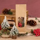 Kraftpapierbeutel Natur mit Fenster 100x55x285mm, Blockboden 90g/qm, Fenster 100x60mm, 400ml
