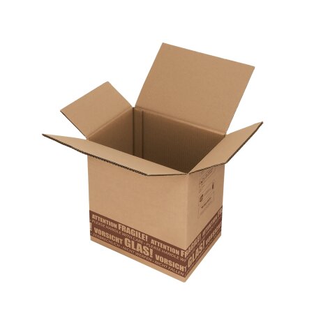 Versandkarton "S-LOG 360" 6er stehend, DHL/UPS-Zertifiziert Hermes / DPD zugelassen