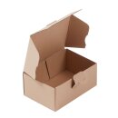 Faltkarton 160 x 114 x 60 mm