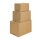 Fix-Aufrichtekarton 330 x 220 x 80-190 mm-3