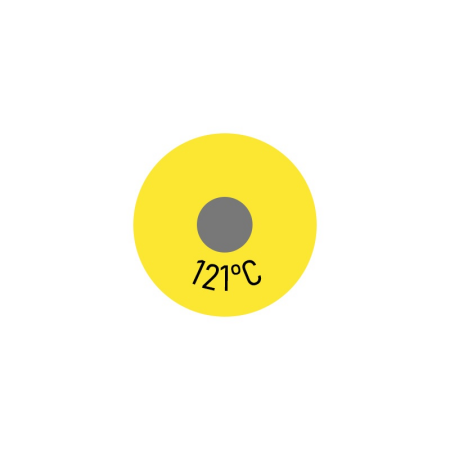 Einzelmesspunkt 121 °C-1