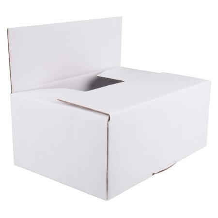 BB-Automatikbodenkarton 250 x 175 x 100 mm (wei)