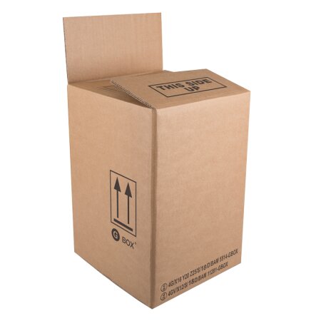 UN Gefahrgutkarton 4G/4GV 250 x 250 x 360 mm