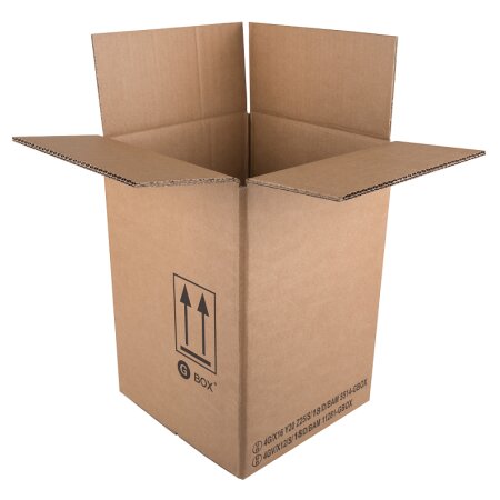 UN Gefahrgutkarton 4G/4GV 250 x 250 x 360 mm