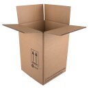 UN Gefahrgutkarton 4G/4GV 250 x 250 x 360 mm