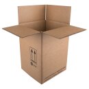 UN Gefahrgutkarton 4G/4GV 270 x 250 x 370 mm