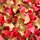 DECOFILL Polsterchips 400 Liter zweifarbig (braun/rot)