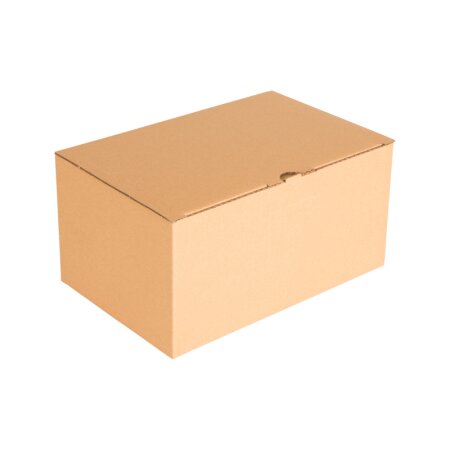BB-Automatikbodenkarton 284 x 184 x 137 mm