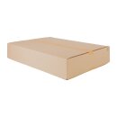 Faltkarton 600 x 450 x 100 mm ecoon® Graspapier (2-wellig)