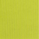 Prsentkarton "Modern Limette" 220 x 150 x 75 mm-2