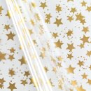 Klarsichtbeutel fr 1 Flasche 500 x 180 mm (Sterne Gold)