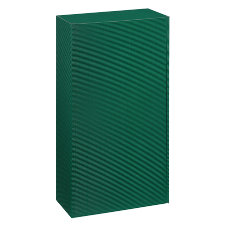 Präsentkarton für 2 Flaschen 360 x 192 x 95 mm (grün)-1