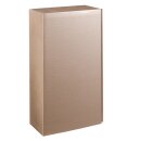 Prsentkarton Intenso Metallic Gold fr 2 Flaschen 360 x...