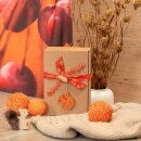 Geschenkbox 220 x 150 x 75 mm (Natura Pur)
